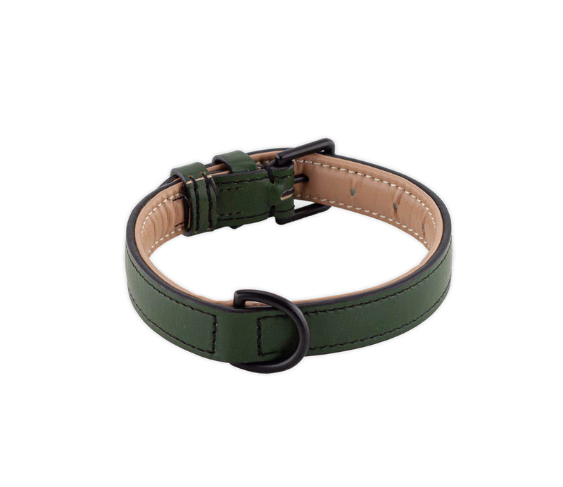 Brute Strength Leather Dog Collar - Dark Green - M - 36-43 cm - PawsPlanet Australia