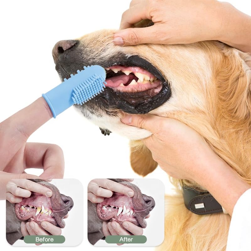 Pet Grooming Kit - 6 Silicone Finger Brush + Bath Brush with Dispenser - For Dogs and Cats - PawsPlanet Australia