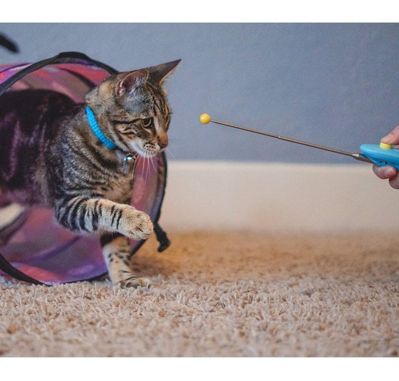 CAT SCHOOL Clicker Training Kit for Cats - 1 Cat Training Clicker, 1 Target Stick, 1 Step-by-Step Instruction Booklet - Clicker Tools for Cat Training, Fist Bump Training, Positive Behavior - PawsPlanet Australia