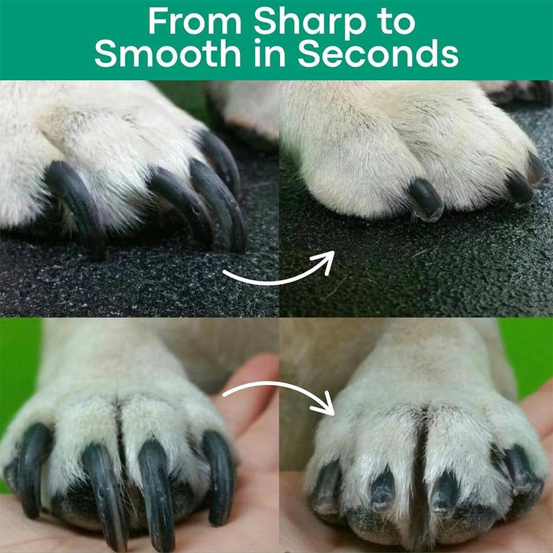 Pet Nail Trimmer with Light, 2 in 1 Nail Clipper and Grinder for Most Animals, Nail Trimmers for Dogs with Guard, Precise Cat & Dog (White) - PawsPlanet Australia