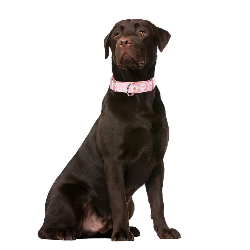Martingale Collar for Dogs, No-Slip Escape Proof Choke No Pull Cinch Soft Nylon Dog Training Collars Adjustable for Small Medium Large Breed Pet Dogs, Pink Daisy M 8 - PawsPlanet Australia
