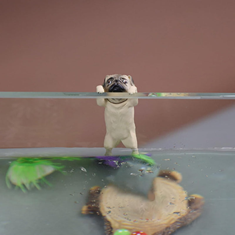 Fish Tank Decorations Resin Cute Climbing Pug Dog Statue Figurines Aquarium Decor Miniature Animal Toy Dollhouse Ornament Landscape Scenes Fish Tank Accessories C, Aquarium Décor Thematic Ornaments - PawsPlanet Australia