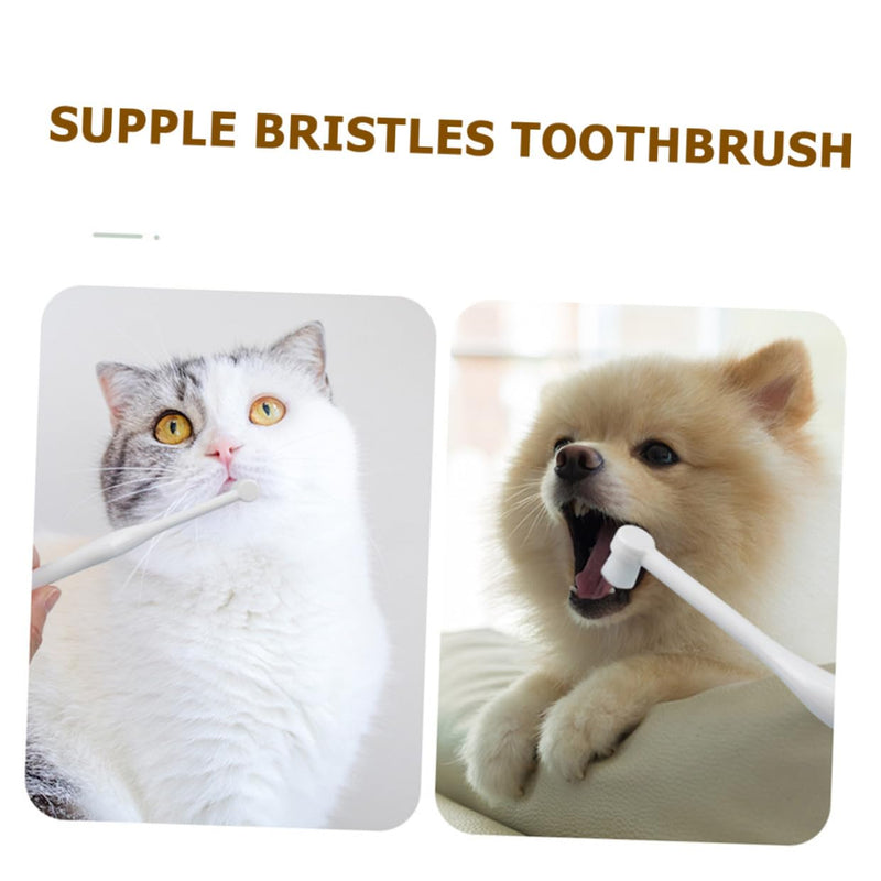ibasenice Small Toothbrush for Pets with Fine Bristles, Ergonomic Handle, Suitable for Dogs and Cats, Thorough Hard to Access Areas, Durable and Practical for Daily Use