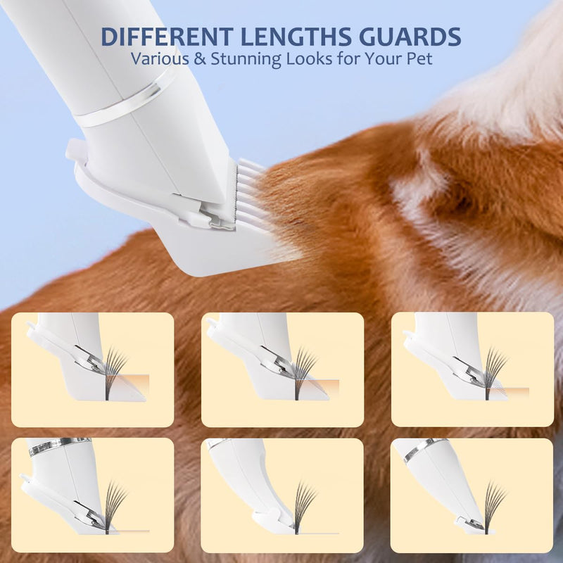 Dog Clippers for Grooming,4 in 1 Dog Grooming Kit,Low Noise Electric Dog Trimmer for Grooming,Rechargeable Cordless Dog Paw Trimmer Nail Grinder Face Shaver for Cats and Other Pets - PawsPlanet Australia