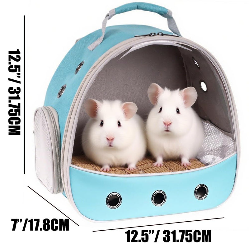 Small Animal Travel Carrier Backpack to Carry and Transport Guinea Pig Birds Bearded Dragon, Clear Front Window, Portable Bag to Transport Hamster Hedgehog Green - PawsPlanet Australia