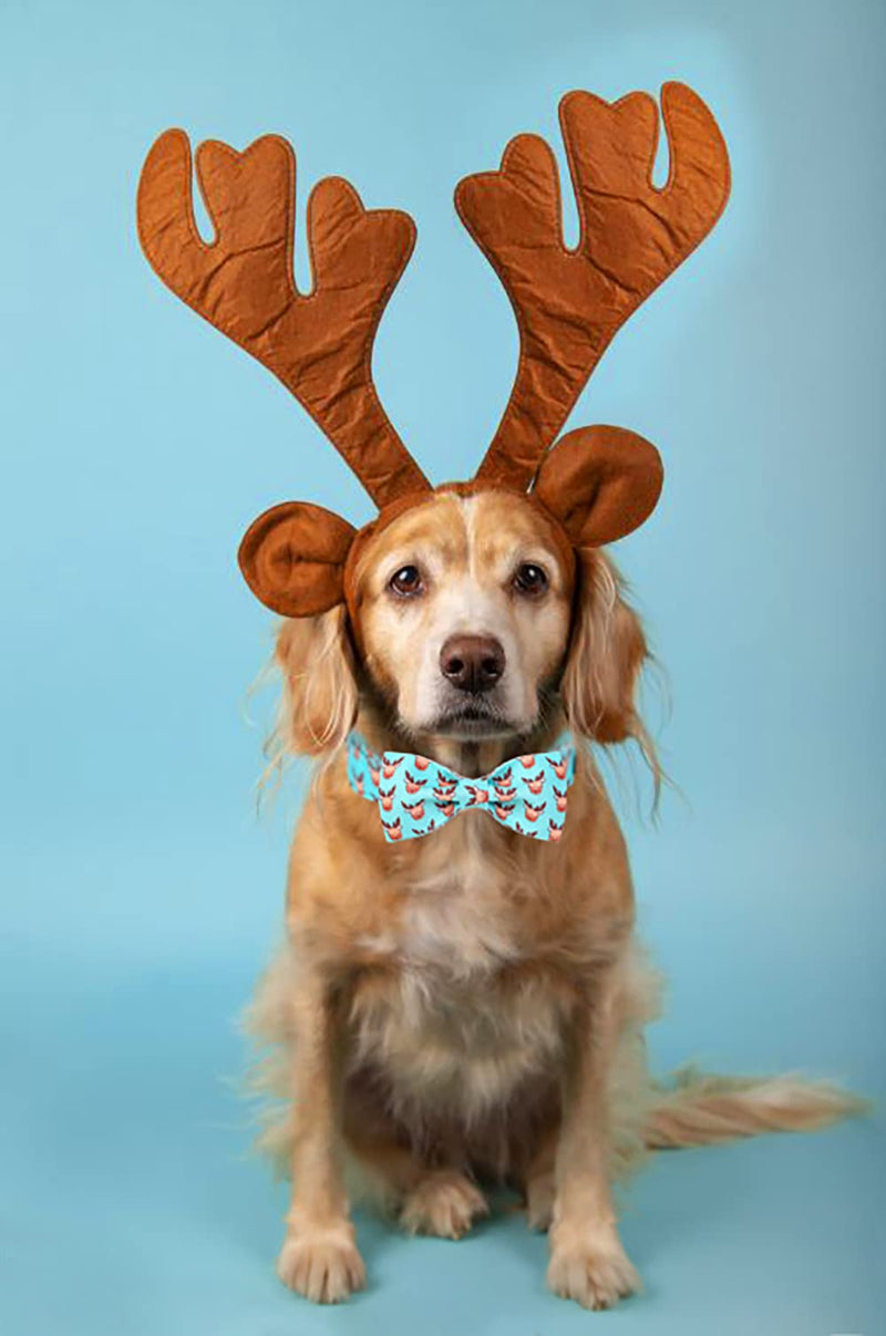 lionet paws Christmas Durable Adjustable Bowtie Dog Collar with Metal Buckle for Large Dog, Neck 40-60cm L L (Pack of 1) Reindeer