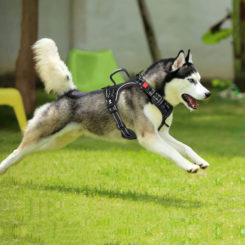 PoyPet No Pull Dog Harness, No Choke Front Clip Reflective Dog Vest with Soft Padded Vertical Handle, 3 Leash Attachments for Small Medium Large Dogs (Black,M) Black - PawsPlanet Australia