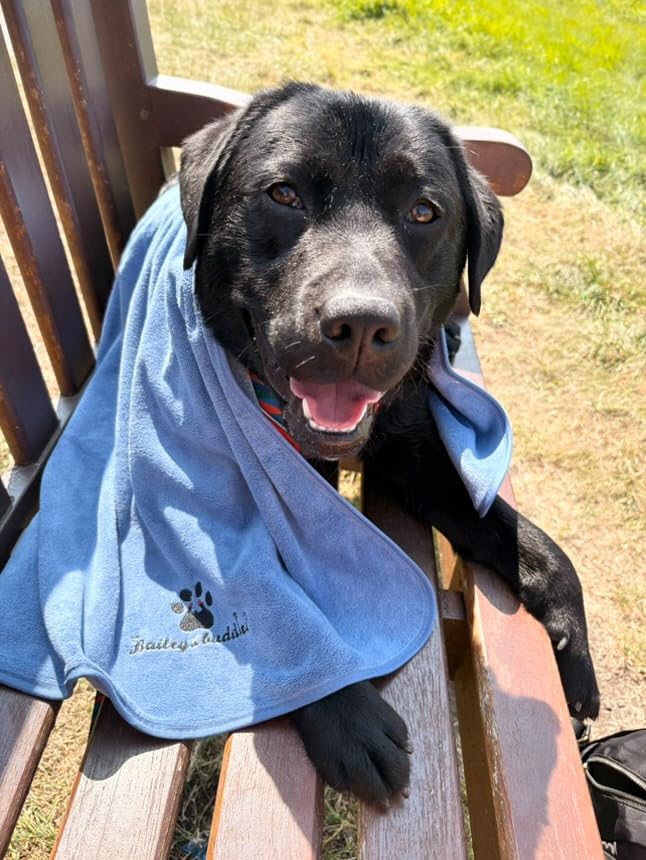 Bailey & buddies Dog Towels – Super Absorbent Microfibre Pet Towel Set (2 Pack, Green & Blue) | Quick Dry, Soft & Durable, 100×50cm for Dogs, Cats & Other Pets