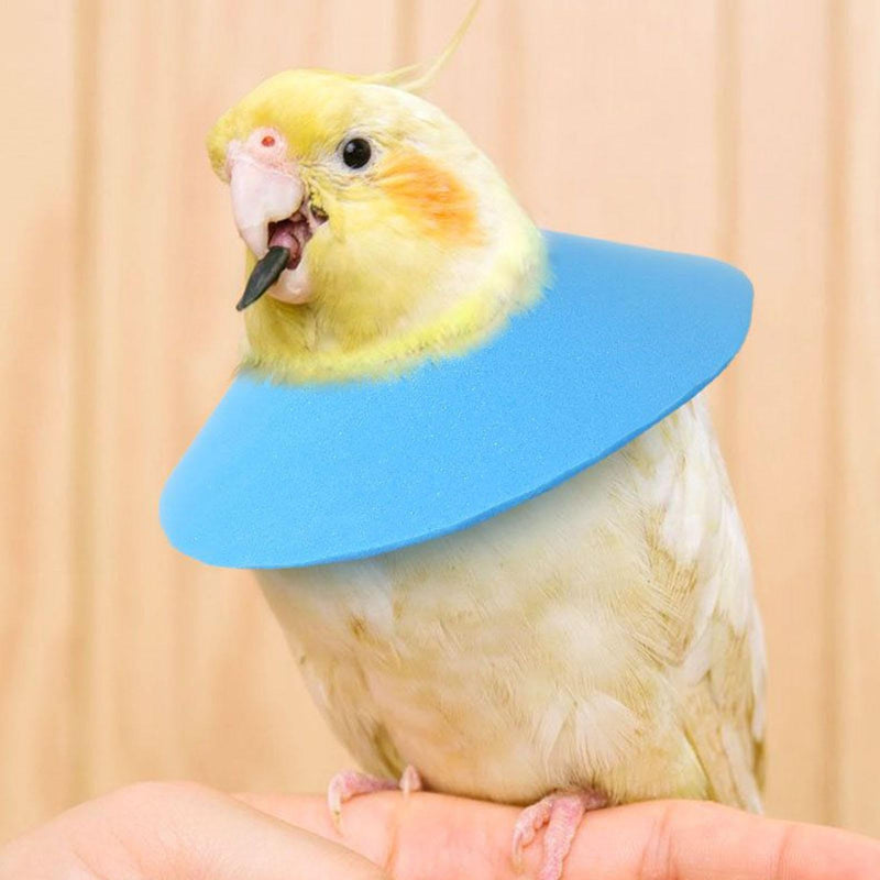 Bird neck collar, rabbit lick protection neck collar, protective collar for small animals, rabbits, ferrets, budgies, mice for scratch protection for daily use and blue