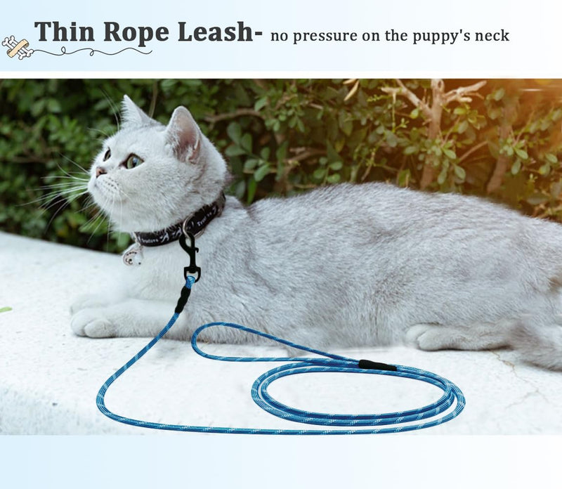 WYuZe 1/5" X-Small Dog Leash for Puppies Under 15lb, 6/10/15 FT Lightweight Reflective Cat Leash Thin Rope for Tiny Dogs Walking Training (6FT x1/5", Blue) 1/5" x 6 FT - PawsPlanet Australia