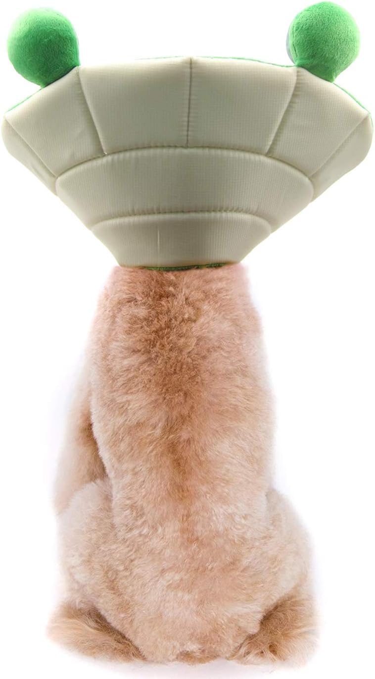 Dog Cone, Pet Recovery Collar Comfy Pet Cone Collar Protective Collar for After Surgery Lick Wound Healing Flexible Cone for Dogs After Surgery (XL) Green - PawsPlanet Australia