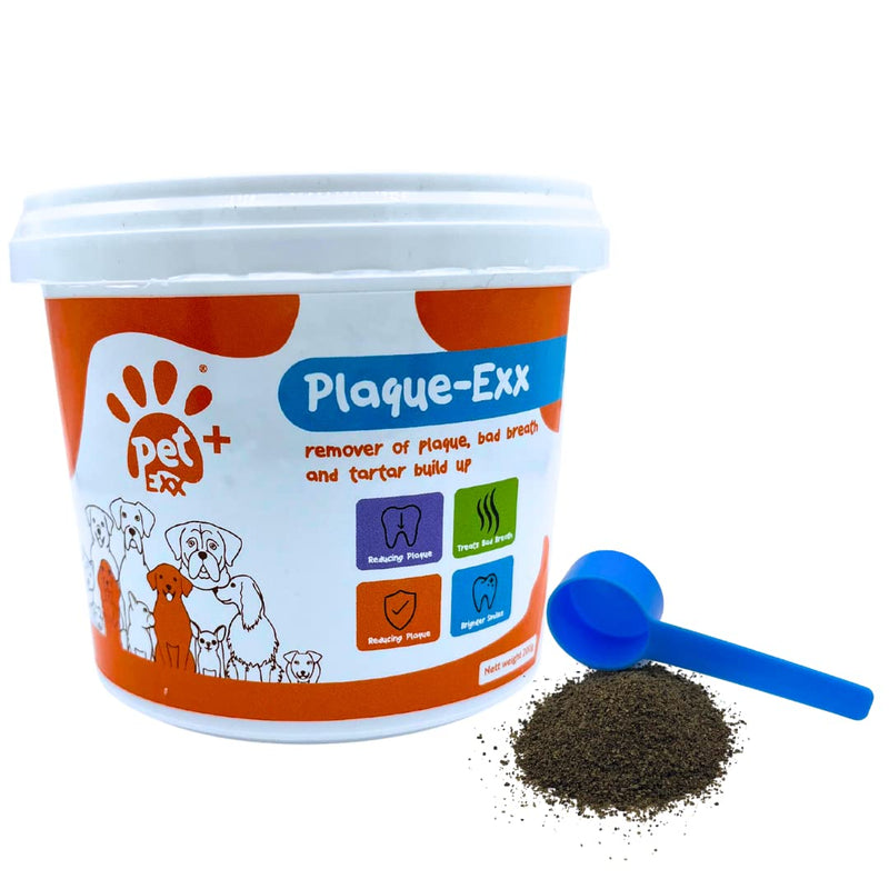 PlaqueExx Plaque and Tartar Remover for Dogs and Cats - Takes Plaque Off Your Pets Teeth PLUS No More Bad Breath - Teeth & Gum Dental Care Formula With Added Mint Powder (100g) 100g - PawsPlanet Australia