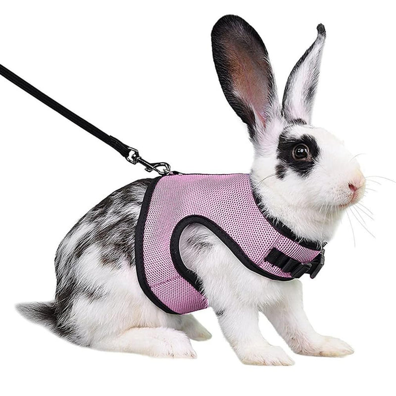 Guinea Pig Harness and Leash Set, Rat Harness and Leash Eescape Proof Walking Training for Small Animal Pets,Pink S Pink S Chest 4.7-6.2",Suitable Guinea Pig ,Rat - PawsPlanet Australia