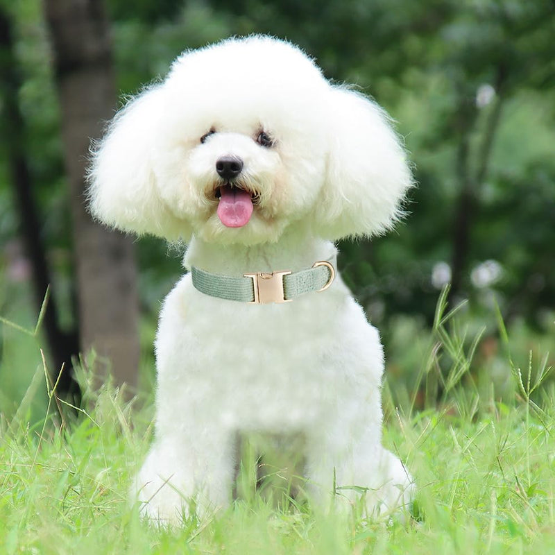 Soft Corduroy Dog Collar and Leash Set Adjustable Durable Dog Collars with Metal Buckle and Lead for Medium Dogs,Grass Green Grass Green - PawsPlanet Australia