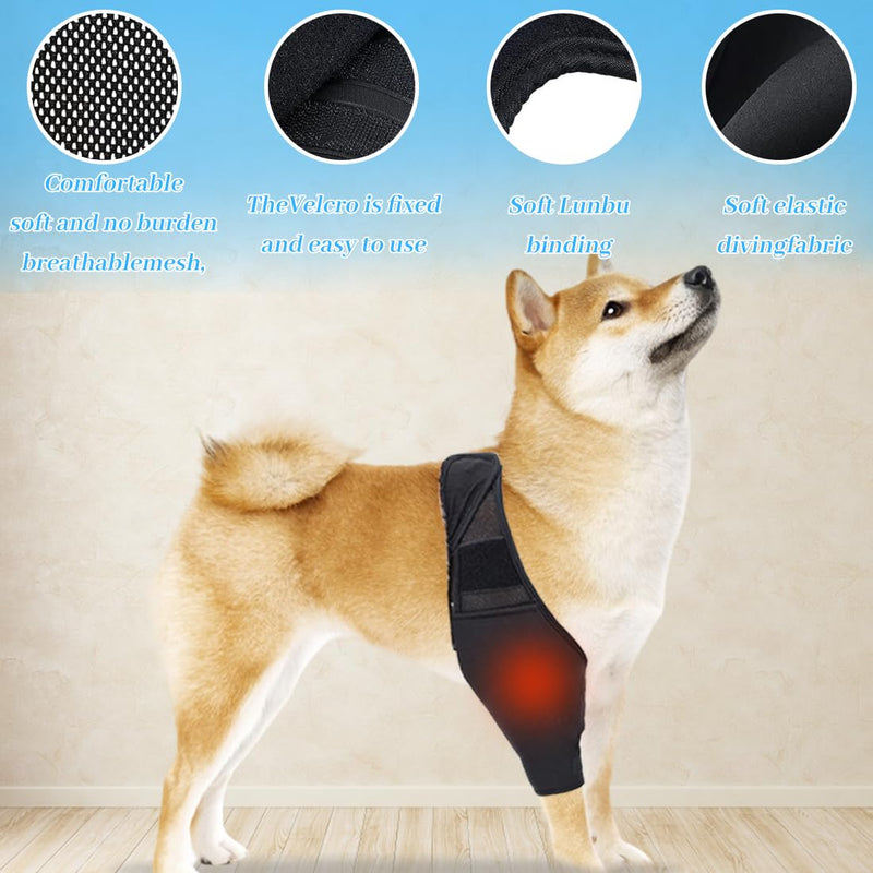 EIHI Knee Support Dog Rear Leg for Left Leg - Made of Neoprene, for Cruciate Ligament Tear, Ligament Injuries, Patella Luxation or Osteoarthritis - Size M