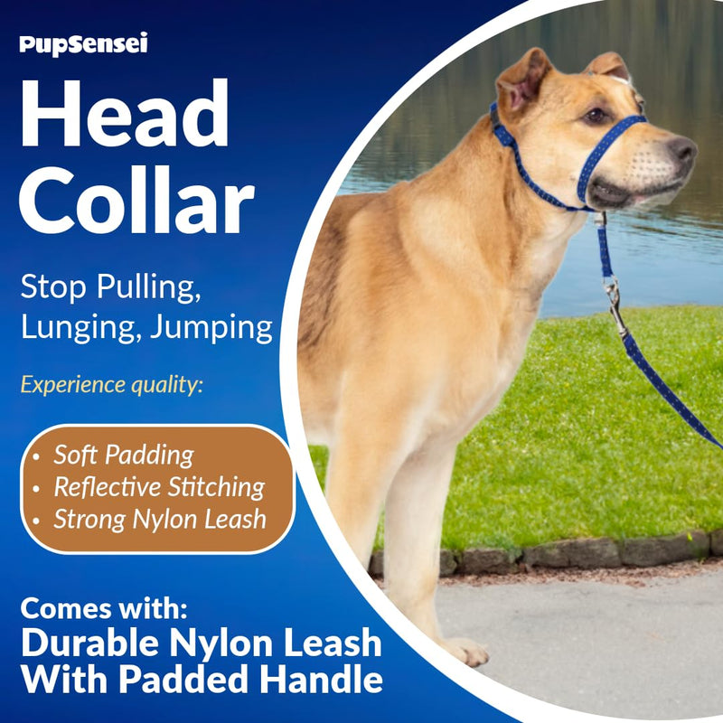 Headcollar for Dogs, Extra Soft Padded, Reflective, No Pull Dog Collar, Gentle Leader for Dogs with Durable Nylon Leash, Padded Handle - Navy Blue (Medium) Medium - PawsPlanet Australia