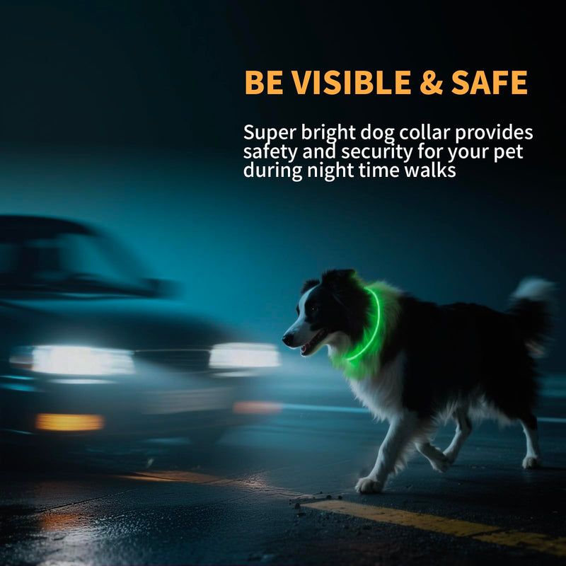 Light Up Dog Collar Super Bright Led Dog Collar with RGB Lighting Modes, Type-C Rechargeable & Waterproof Glow in The Dark Collar for Small Medium Large Dogs 70cm Cutable Collar Night Walking Safety - PawsPlanet Australia