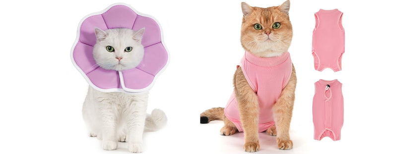 Avont Adjustable Soft Cat Recovery Cone Collar Bundle with Breathable Cat Recovery Suit After Surgery -M