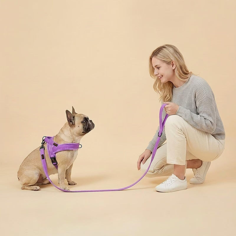 Didog 6 FT Purple Dog Leash for Small Medium Dogs, Reflective Dog Leash with Soft Padded Handle, Slim 5/8" Width & 360° Swivel Clasp for Daily Walking/Training 5/8''x 6 FT - PawsPlanet Australia