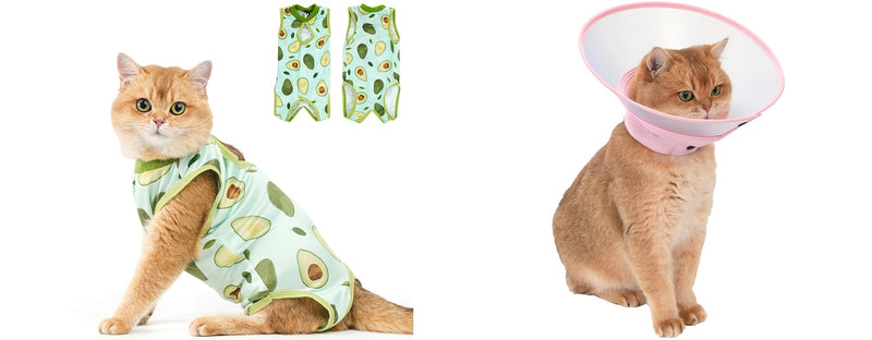 Avont Cat Recovery Suit - Kitten Onesie for Cats After Surgery Bundle with Transparent PVC Cat Cone Collar -S
