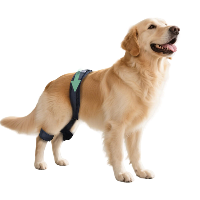 Adjustable Dog Leg Brace for Hip Dysplasia,Breathable & Supportive Dog Hip Brace for Pain Relief, Preventing and Improving Joint Dysplasia Hip Brace for Dogs,XL Extra Large