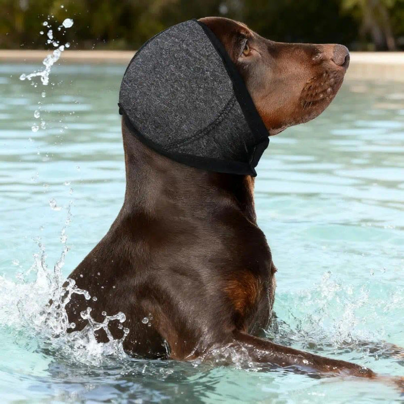 Medium Gray Dog Ear Protectors, Waterproof Swim Ear Covers with Adjustable Fit for Head 28-42cm, Anxiety Relief Muffs for Grooming & Noise