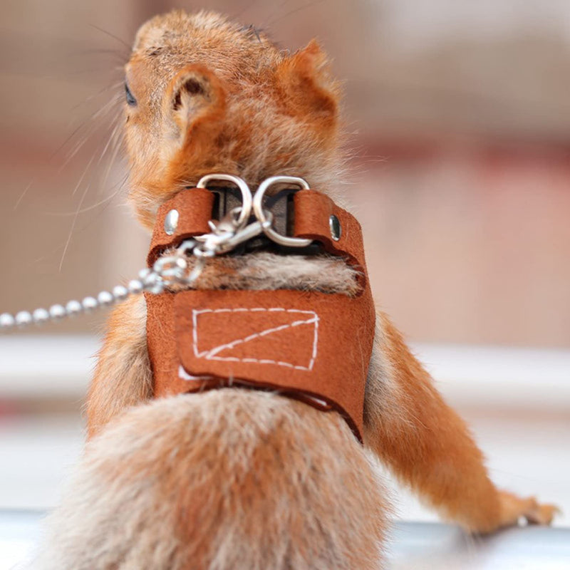 3 Pack Squirrel Harness and Leash Set - Adjustable Traction Rope Strap Anti-Biting Chain,Small Animal Training Walking Vest Leash for Squirrel Gerbil Chinchilla Rat (3 Pack (S/M/L),Brown) 3 Pack (S/M/L) Brown - PawsPlanet Australia