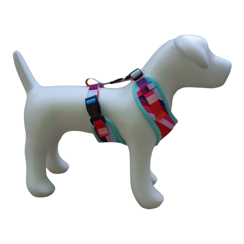 Modern Rainbow Pet Harness Size Large Dog or Puppy Soft Harness with Safe, No Pulling, Large Chest Size 22 to 32 Inches (LG) LG - PawsPlanet Australia