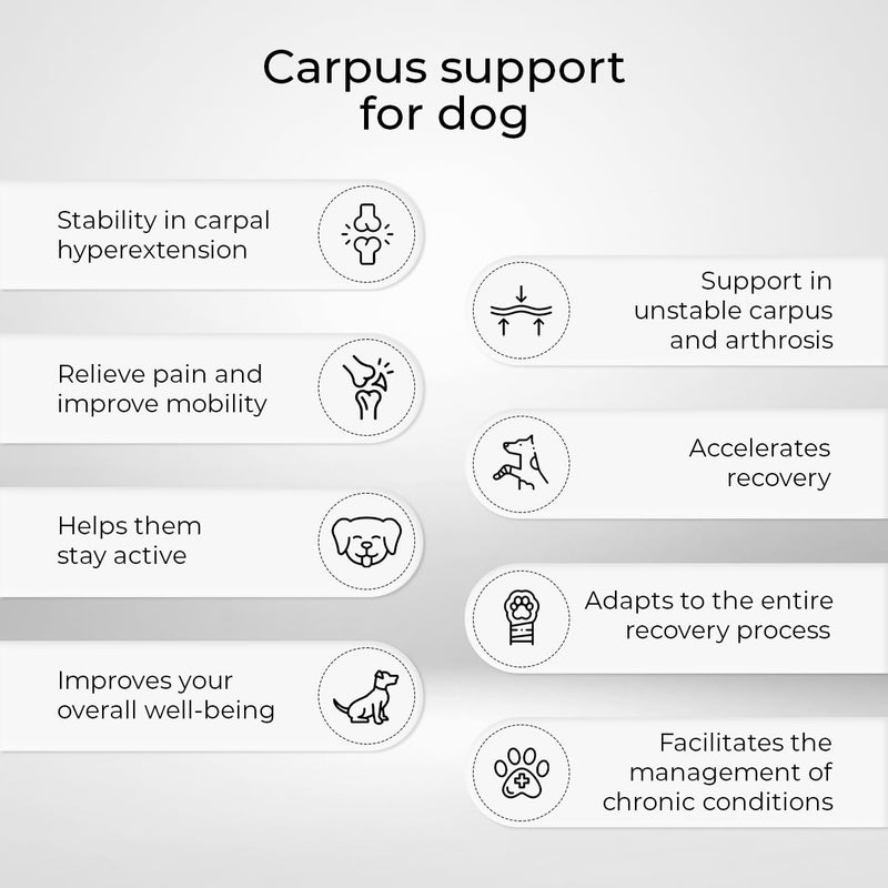 Ortocanis - Dog Carpal Support Brace - Carpal Instability or Osteoarthritis - Stabilizes and Reduces Pain - with Two Immobilization Splints - Made of Neoprene - Size M 8-10 cm Medium