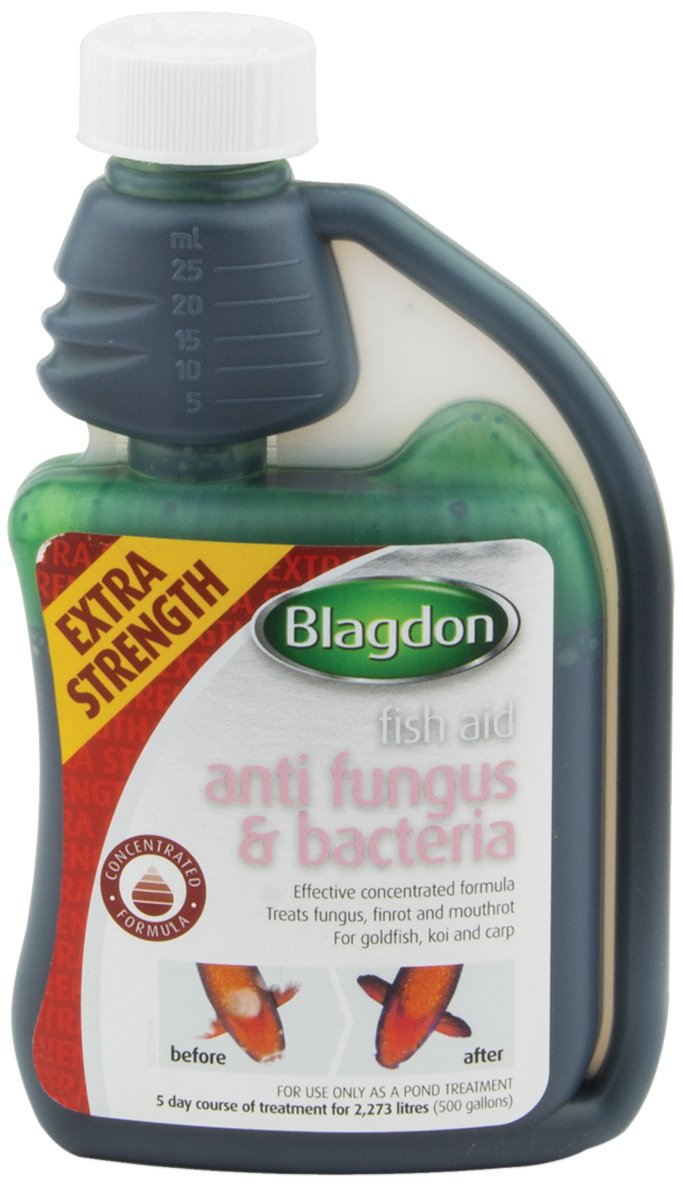 Blagdon Extra Strength Concentrated Formula Anti Fungus & Bacteria Water Treatment for Pond Fish, Finrot, Mouthrot, Goldfish, Koi, Carp, 250 ml 250 ml (Pack of 1) 250 ml (Pack of 1) - PawsPlanet Australia
