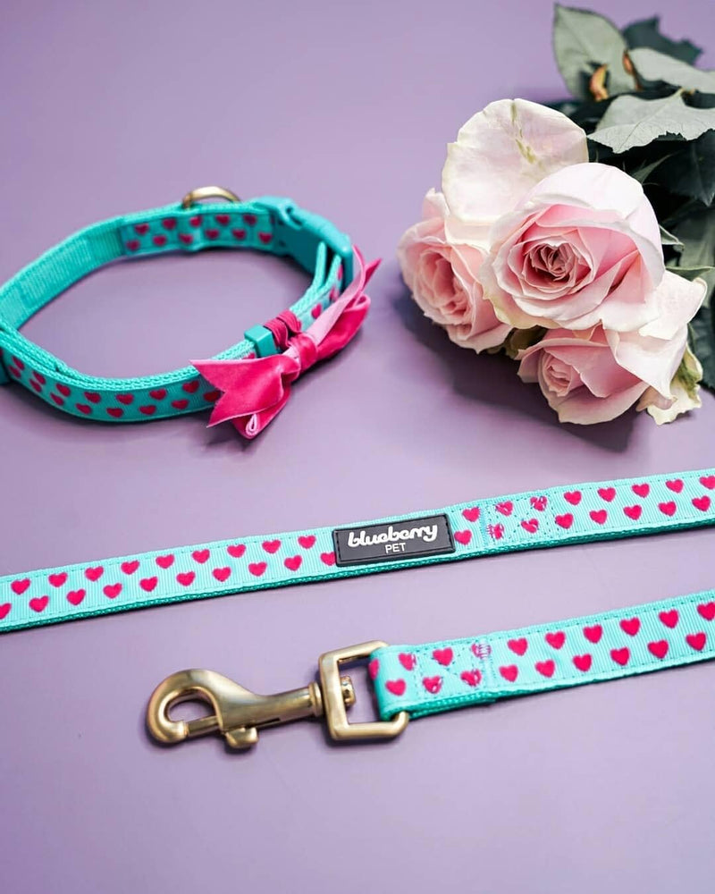 Blueberry Pet Valentine's Day Dog Leash, Velvety Soft-Touch Heart Flocking Lead for Small Dogs, Minty Green, 5 ft x 5/8" Flocking Print - Minty Green - PawsPlanet Australia