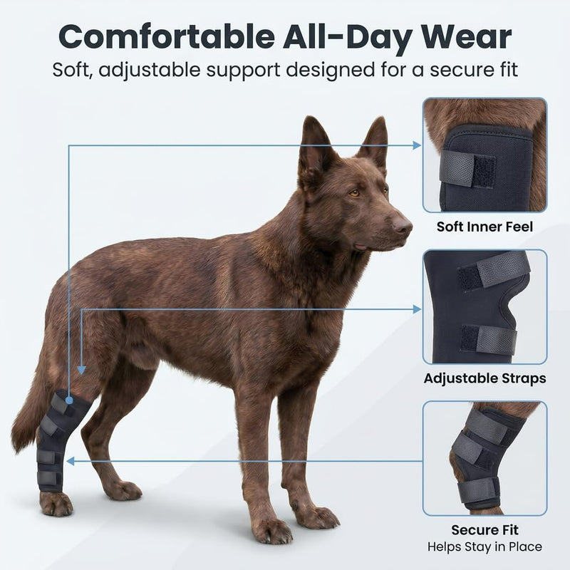 Dog Knee Braces for Back Leg, Dog Leg Brace Back Leg Support, Dog ACL Brace Hind Leg, Dog Knee Brace for ACL Tear Back Leg, Hip Dysplasia Brace, Hind Leg Support for Senior Dogs (Black, S) Black