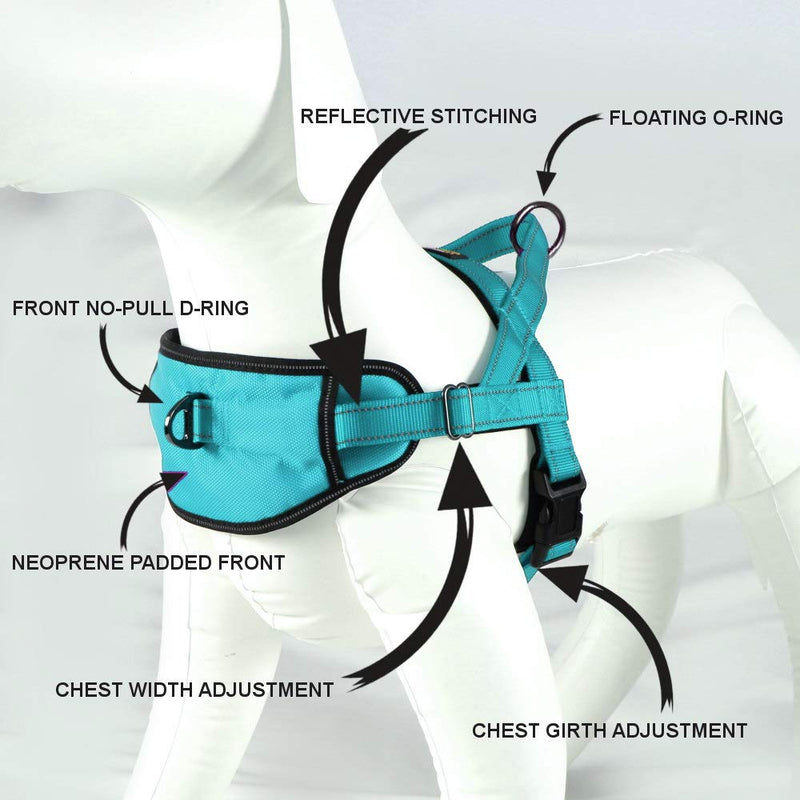 Max and Neo Passport Reflective Dog Harness - We Donate a Harness to a Dog Rescue for Every Harness Sold (Small (16"-22" Chest Girth), Teal) SMALL (16"-22" CHEST GIRTH) - PawsPlanet Australia