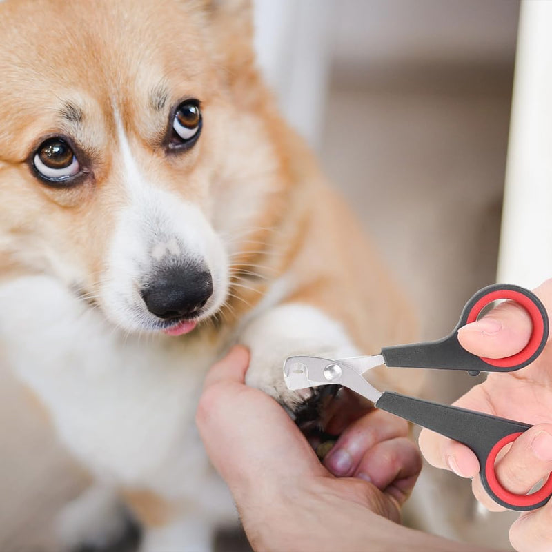 Cat Nail Clipper, Pet Nail Trimmers Bird Claw Scissors Stainless Steel Parrot Cage Essential Grooming Tool for Small Animals Ferrets Bunny Kitten Hamsters Rabbit Puppy Precision Sharp Cut - PawsPlanet Australia