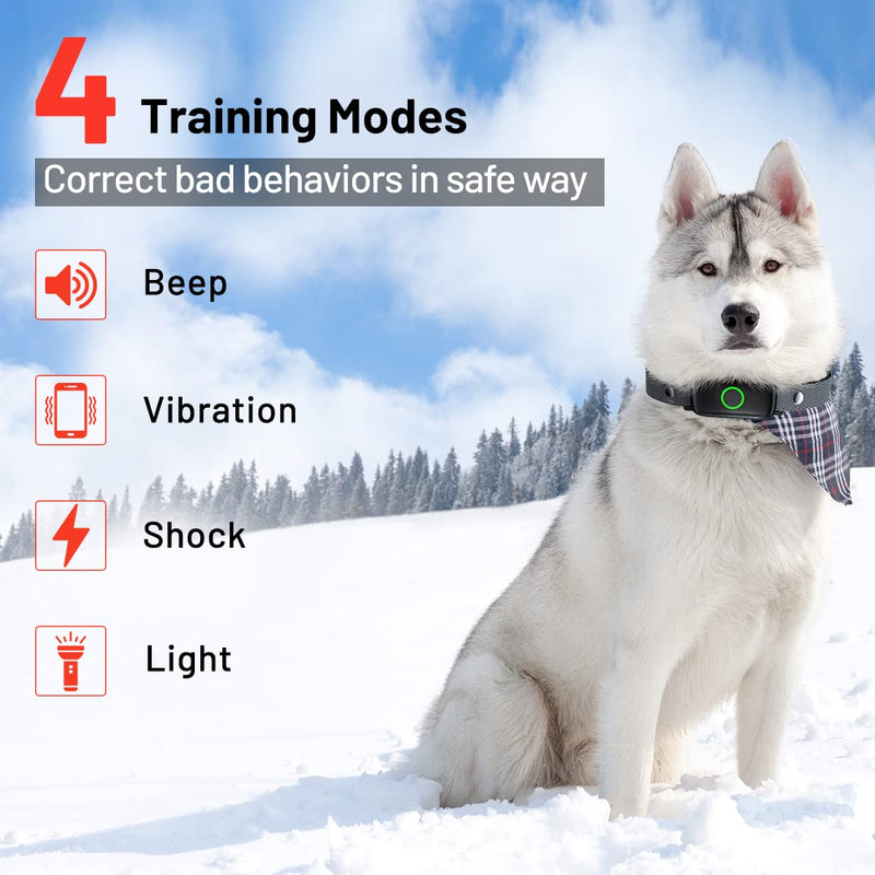 Shock Collar Dog Training Collar with Remote 3300ft Range Waterproof E Collar Rechargeable Electric Dog Shock Collar for Small Medium Large Dogs with Beep Vibration Shock and Light Dog Collar - PawsPlanet Australia