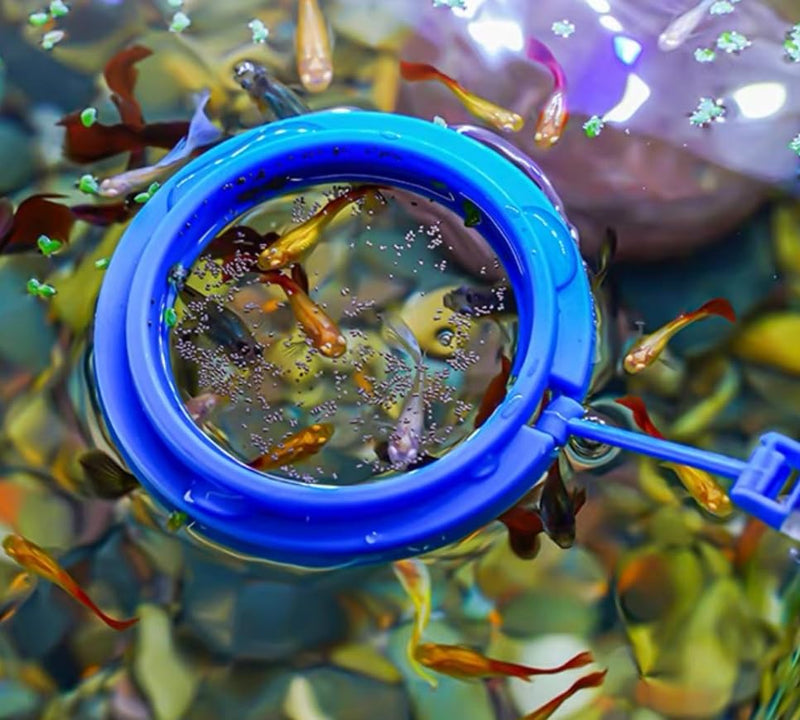31.5Inch long coral reef Grabber,coral Feeder,Aquarium veggie Feeder,Aquarium Food Clip feeding(Long Reef grabber and coral feeder kits(ANTI-RUST) Long Reef grabber and coral feeder(ANTI-RUST) - PawsPlanet Australia