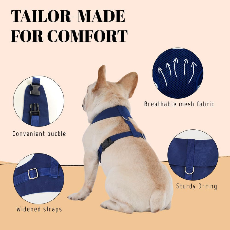 AVERYDAY Dog Tuxedo for Wedding Outfit, Dog Suit and Tie Costumes for Birthday, Halloween, Cosplay, Christmas Party, Pet Formal Wear with Bowtie, Tux for Small Dogs, Chihuahua, Bichon, Maltese, Cats S (Chest 16.9-21.1 in) Blue Tux+Champagne Tie - PawsPlanet Australia
