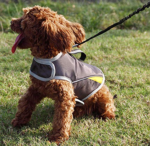 Dog Anxiety Jacket Keep Calming Vest Thunder Coat with D-Ring and Training Handle for Small dogs 1 Gery