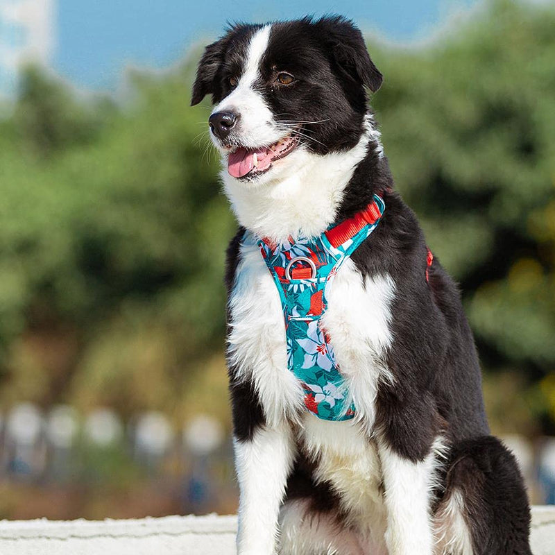 TRUE LOVE Dog Harness No Pull Nylon Reflective Soft Camouflage Pet Harness for Small Big Dogs Running Training TLH5653 Camouflage Blue L - PawsPlanet Australia