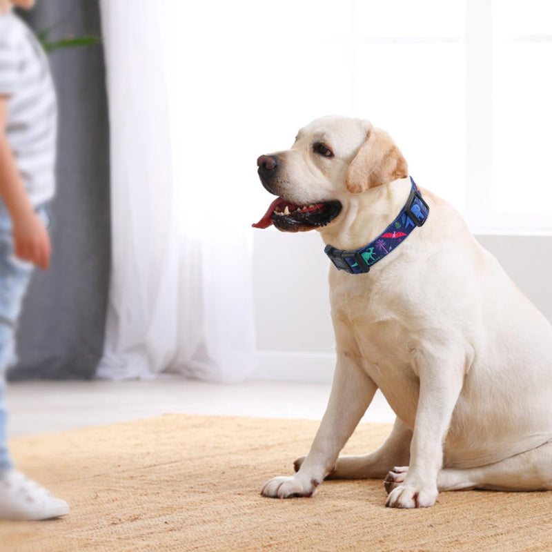 Rhea Rose Dog Martingale Collar with Quick Release Buckle, Adjustable Soft Escape Proof collar, Training collar, Dinosaur Patterns, Medium - PawsPlanet Australia