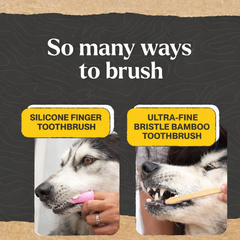 Dr. Oakley Dental Toothbrush Kit for Dogs & Cats - Finger Brush for Small Pets and Soft Brushes for Large or Older Natural and Safe Mint Flavor Minty Fresh