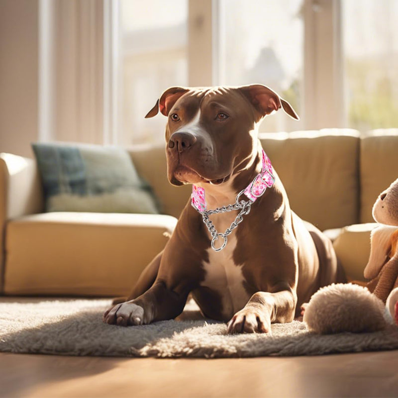 Martingale Dog Collar for Medium Dogs,Choker Collar for Dogs,Training Escape Proof Heavy Duty Dog No Pull Dog Collar for Medium Large Pet Boy Male Dogs, Pink Floral M M(Neck 15-20") - PawsPlanet Australia