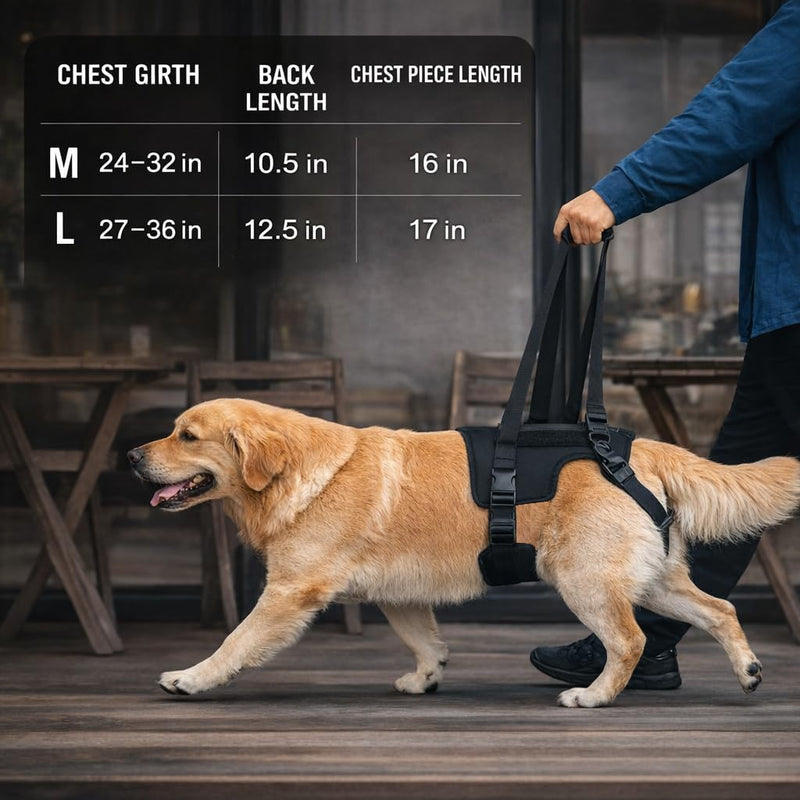 Dog Lift Harness for Large Dogs, Rear Leg Support Sling with Handle for Injury Recovery, Post-Surgery Rehab, Senior Dogs(M) M