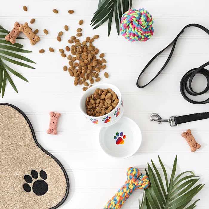 Bone Dry Ceramic Food & Water Bowls for Pets Non-Slip for Secure, Less Messy Feeding, Microwave & Dishwasher Safe, Small Set, 4.25x2, Rainbow Paw, 2 Count Small Set, 4.25x2"
