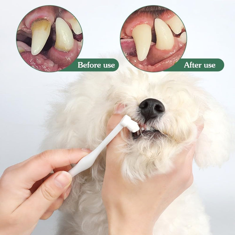 MiOYOOW Small Dog Toothbrush, 2/3PCS Pet Toothbrush with Ultra Soft Bristles for Sensitive Pet Teeth & Gums Puppy Kitten Cats Small Breed Dogs 3pcs