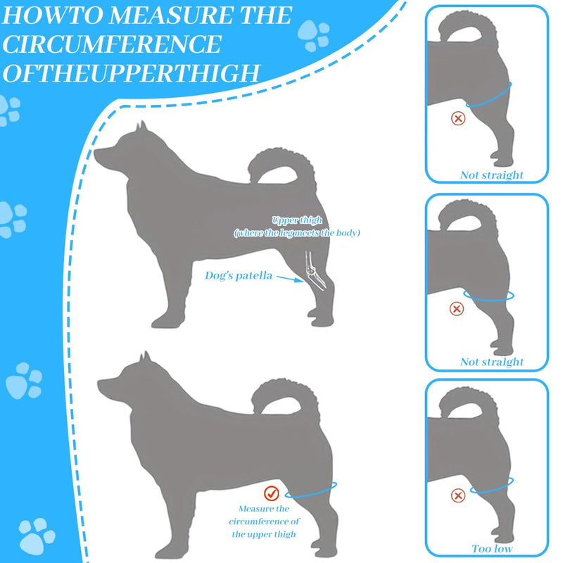 EIHI Knee Support Dog Rear Leg for Left Leg - Made of Neoprene, for Cruciate Ligament Tear, Ligament Injuries, Patella Luxation or Osteoarthritis - Size M