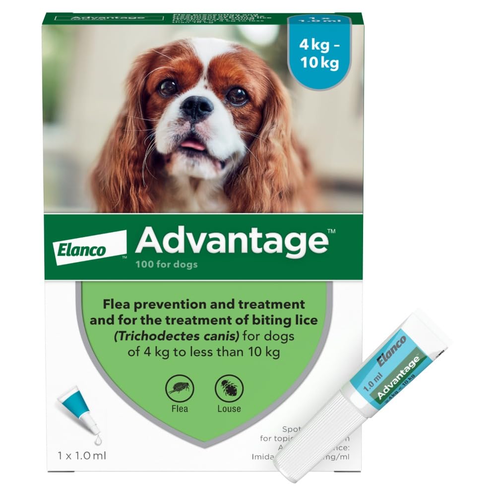 Advantage 100 Flea Spot On Treatment For Dogs 1 Pipette 1.0ml 4-10kg - PawsPlanet Australia