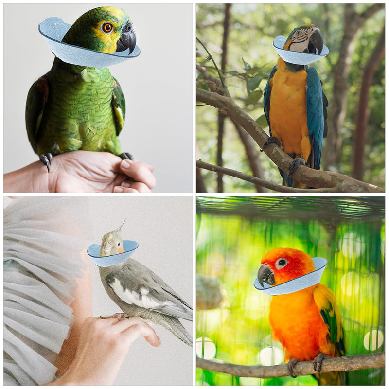 VANZACK Bird Cone Collar Adjustable Bird Parrot Tapered Collar Parrot Recovery Cones Neck Quaker Leather Bird Neck Protector Parrot Feather Protection Collar Sky-Blue - PawsPlanet Australia