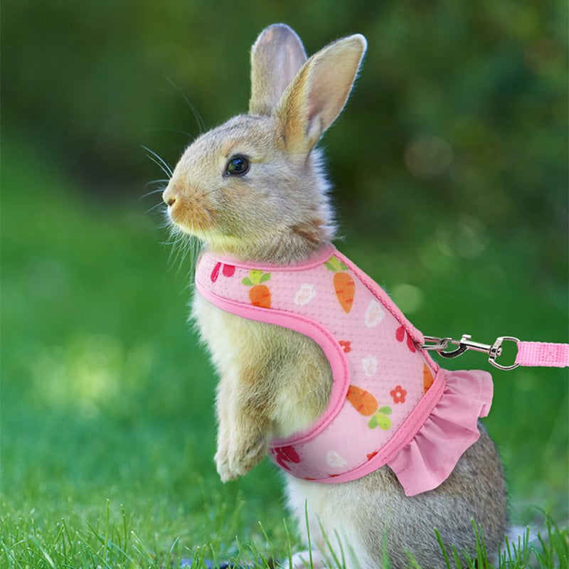 Rabbit Harness and Leash Set,Adjustable Breathable Mesh Ferret Harness Available All Seasons for Guinea Pigs Bunnies Chinchillas Hamsters Pink S - PawsPlanet Australia