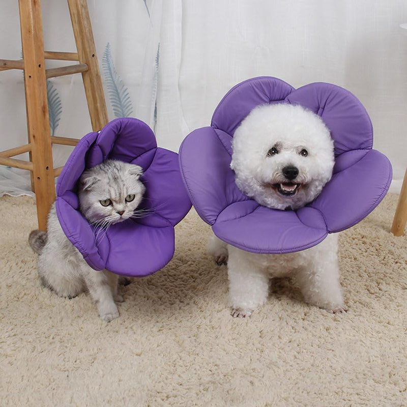 POPETPOP Small Dog Recovery Collar - Cute Cat Flower Neck Cone After Surgery, Adjustable Pet Collar, Surgery Recovery Elizabethan Collars for Small Pets (Purple, M) Medium Purple - PawsPlanet Australia